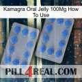 Kamagra Oral Jelly 100Mg How To Use 20